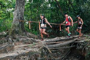 BIB: 
                            <button type="button" onclick="openModal(27803059)" class="btn btn-primary btn-sm float-right btn-popup" data-toggle="modal" data-target=".modal-high-quality">
                        <i class="fas fa-shopping-cart"></i> Add to Cart
                    </button>
                                            <button type="button" onclick="isThisMe(27803059, true)" class="btn btn-success btn-sm float-right btn-popup btn-isme hidden" data-toggle="tooltip" data-placement="bottom" title="นี่คือรูปของคุณใช่ไหม คลิกที่นี่เพื่อเอาเข้าอัลบั้ม">
                        <i class="fas fa-plus"></i> Add to album
                    </button>
                    <button type="button" onclick="isThisMe(27803059, false)" class="btn btn-warning btn-sm float-right btn-popup btn-isnotme hidden">
                        <i class="fas fa-ban"></i> Remove from album
                    </button>